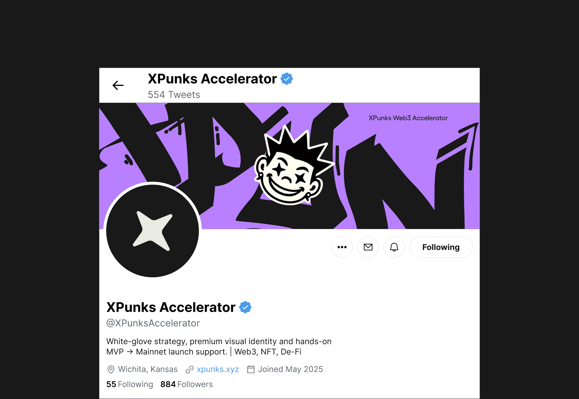 XPunks Accelerator — visual 2