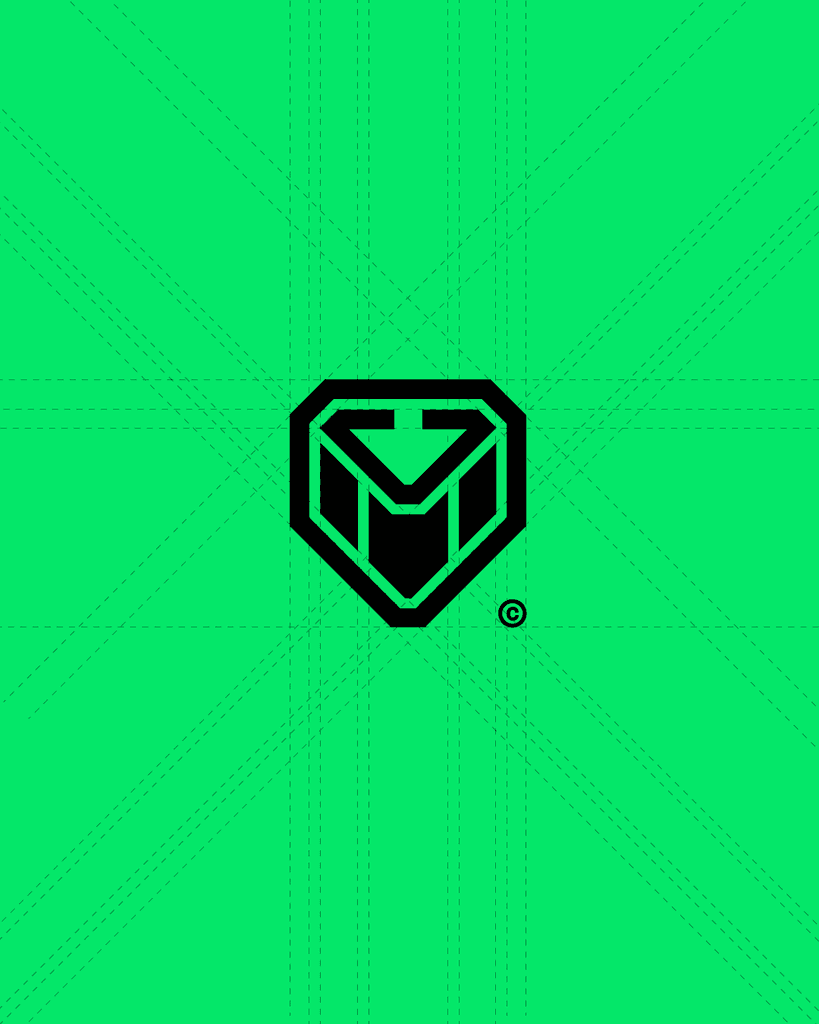 CyberGuards — visual 2